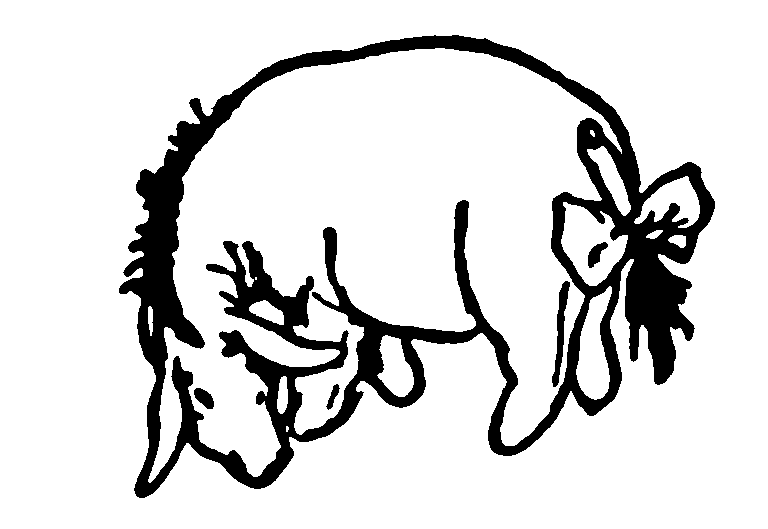 A picture of Eeyore the donkey